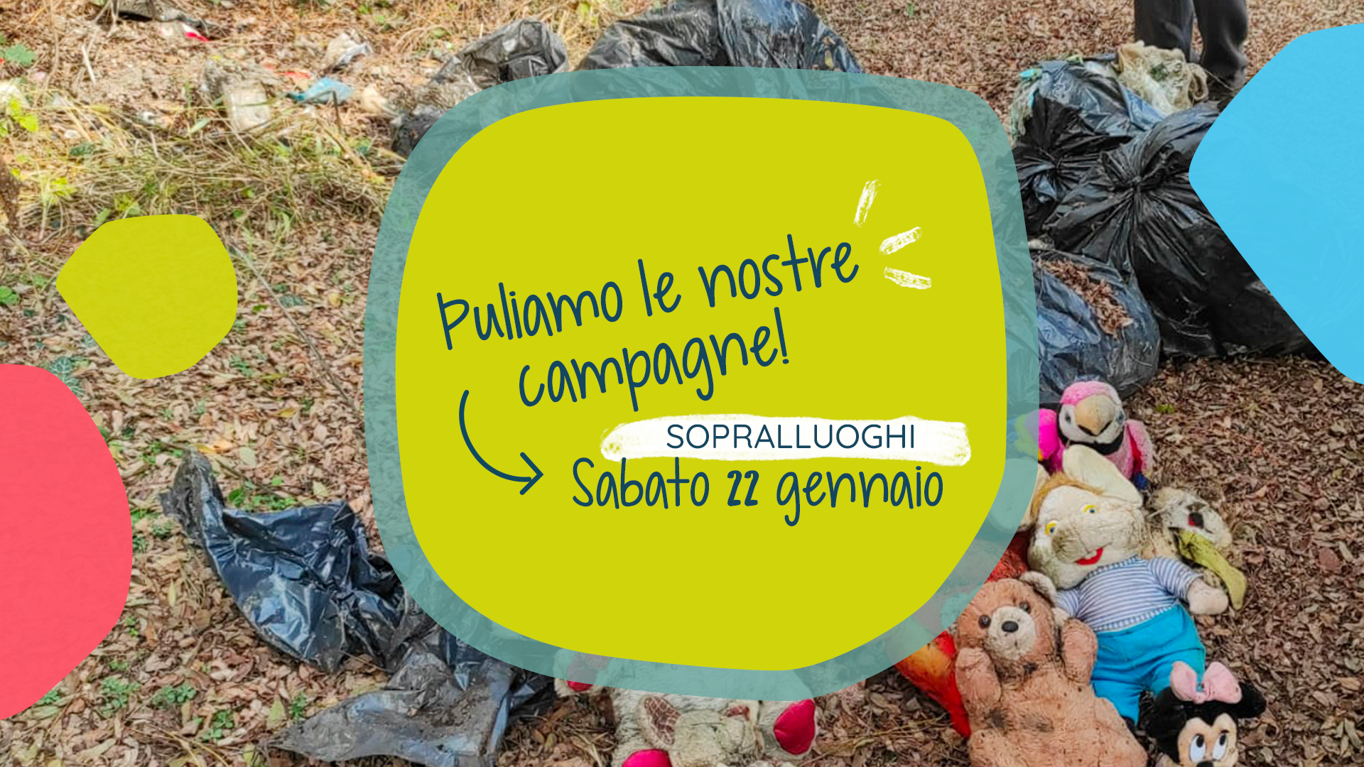 Read more about the article Puliamo le nostre campagne – sopralluoghi